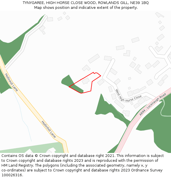 TYNYGAREE, HIGH HORSE CLOSE WOOD, ROWLANDS GILL, NE39 1BQ: Location map and indicative extent of plot