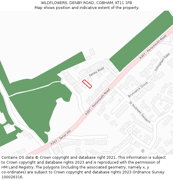 WILDFLOWERS, DENBY ROAD, COBHAM, KT11 1FB: Location map and indicative extent of plot