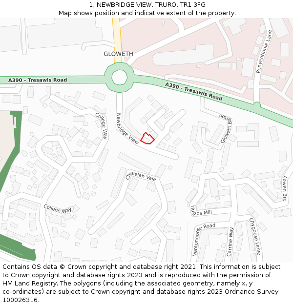 1, NEWBRIDGE VIEW, TRURO, TR1 3FG: Location map and indicative extent of plot