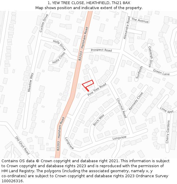 1, YEW TREE CLOSE, HEATHFIELD, TN21 8AX: Location map and indicative extent of plot