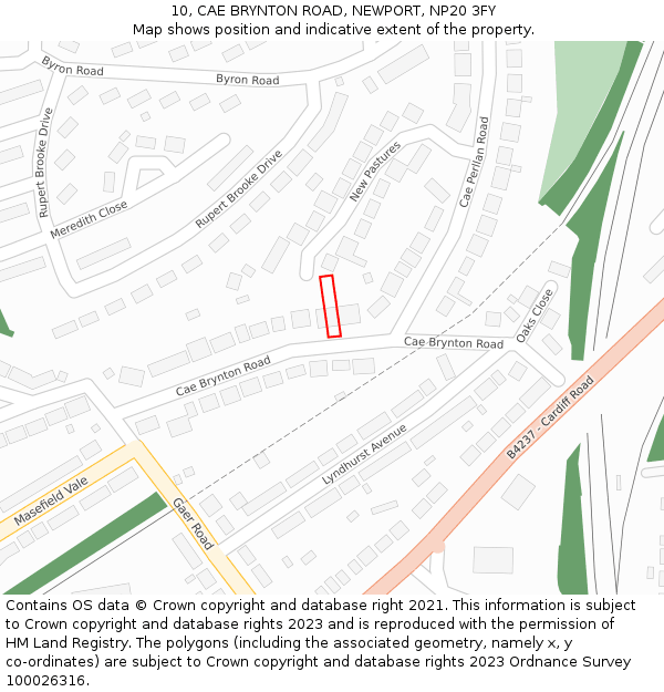 10, CAE BRYNTON ROAD, NEWPORT, NP20 3FY: Location map and indicative extent of plot