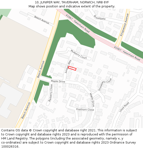10, JUNIPER WAY, TAVERHAM, NORWICH, NR8 6YF: Location map and indicative extent of plot