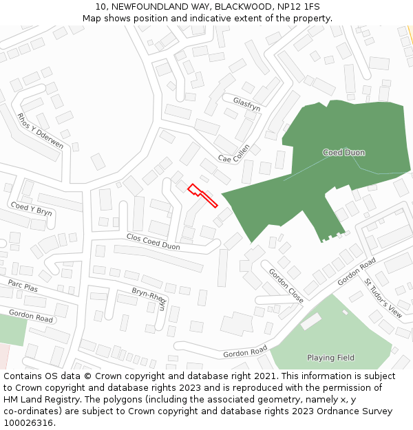 10, NEWFOUNDLAND WAY, BLACKWOOD, NP12 1FS: Location map and indicative extent of plot