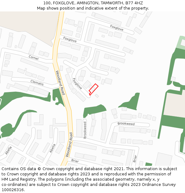 100, FOXGLOVE, AMINGTON, TAMWORTH, B77 4HZ: Location map and indicative extent of plot