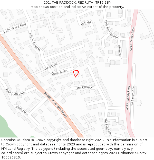 101, THE PADDOCK, REDRUTH, TR15 2BN: Location map and indicative extent of plot