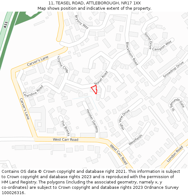 11, TEASEL ROAD, ATTLEBOROUGH, NR17 1XX: Location map and indicative extent of plot