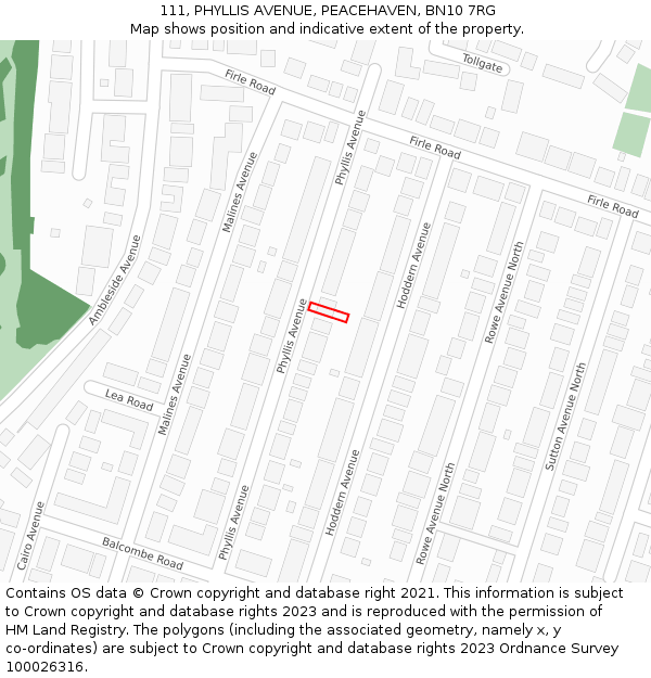 111, PHYLLIS AVENUE, PEACEHAVEN, BN10 7RG: Location map and indicative extent of plot