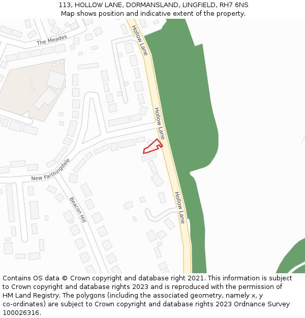 113, HOLLOW LANE, DORMANSLAND, LINGFIELD, RH7 6NS: Location map and indicative extent of plot