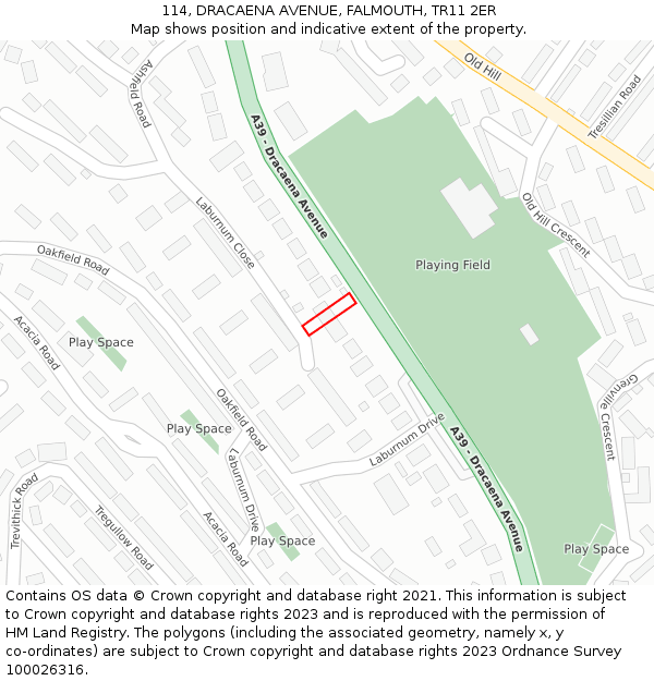 114, DRACAENA AVENUE, FALMOUTH, TR11 2ER: Location map and indicative extent of plot