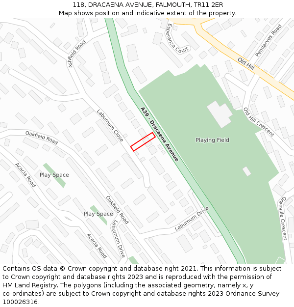 118, DRACAENA AVENUE, FALMOUTH, TR11 2ER: Location map and indicative extent of plot