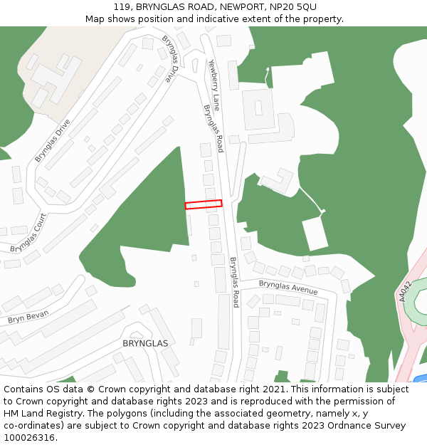 119, BRYNGLAS ROAD, NEWPORT, NP20 5QU: Location map and indicative extent of plot