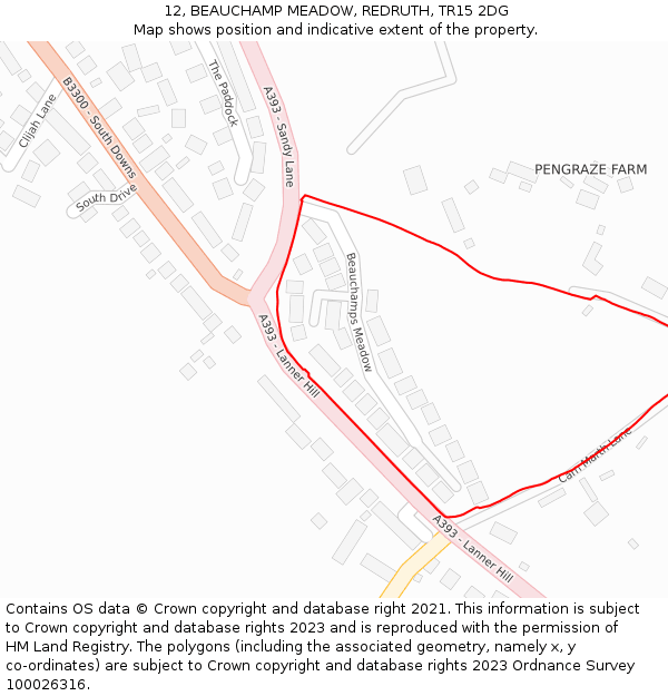 12, BEAUCHAMP MEADOW, REDRUTH, TR15 2DG: Location map and indicative extent of plot