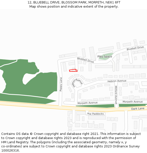 12, BLUEBELL DRIVE, BLOSSOM PARK, MORPETH, NE61 6FT: Location map and indicative extent of plot