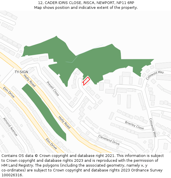 12, CADER IDRIS CLOSE, RISCA, NEWPORT, NP11 6RP: Location map and indicative extent of plot