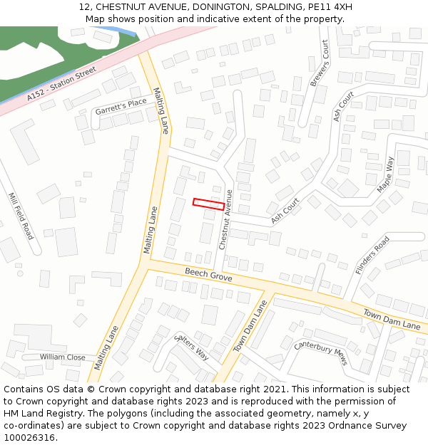 12, CHESTNUT AVENUE, DONINGTON, SPALDING, PE11 4XH: Location map and indicative extent of plot