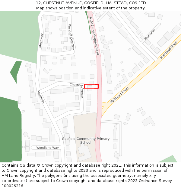 12, CHESTNUT AVENUE, GOSFIELD, HALSTEAD, CO9 1TD: Location map and indicative extent of plot