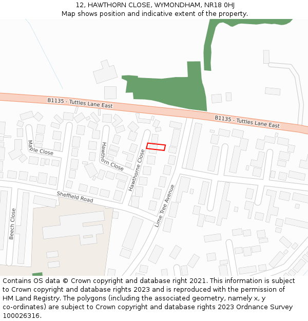 12, HAWTHORN CLOSE, WYMONDHAM, NR18 0HJ: Location map and indicative extent of plot