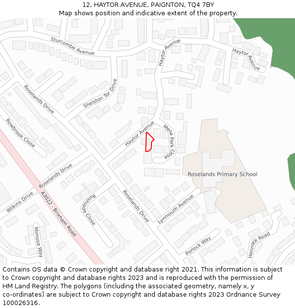 12, HAYTOR AVENUE, PAIGNTON, TQ4 7BY: Location map and indicative extent of plot