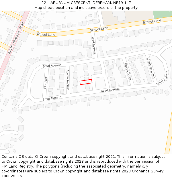 12, LABURNUM CRESCENT, DEREHAM, NR19 1LZ: Location map and indicative extent of plot