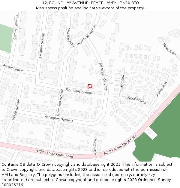 12, ROUNDHAY AVENUE, PEACEHAVEN, BN10 8TQ: Location map and indicative extent of plot