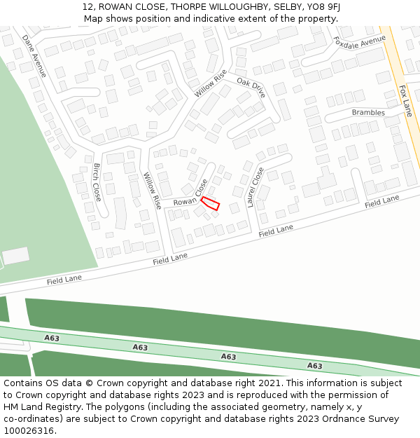 12, ROWAN CLOSE, THORPE WILLOUGHBY, SELBY, YO8 9FJ: Location map and indicative extent of plot