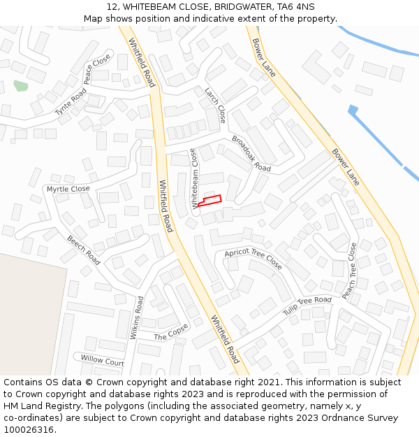 12, WHITEBEAM CLOSE, BRIDGWATER, TA6 4NS: Location map and indicative extent of plot