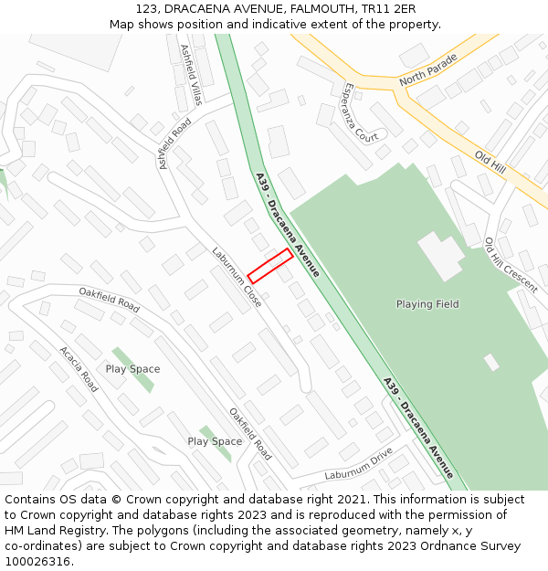 123, DRACAENA AVENUE, FALMOUTH, TR11 2ER: Location map and indicative extent of plot