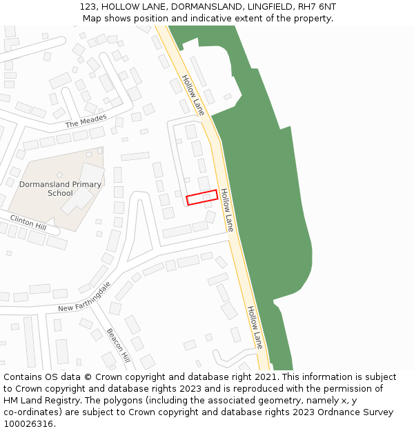 123, HOLLOW LANE, DORMANSLAND, LINGFIELD, RH7 6NT: Location map and indicative extent of plot