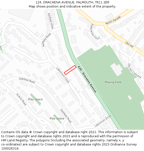 124, DRACAENA AVENUE, FALMOUTH, TR11 2ER: Location map and indicative extent of plot