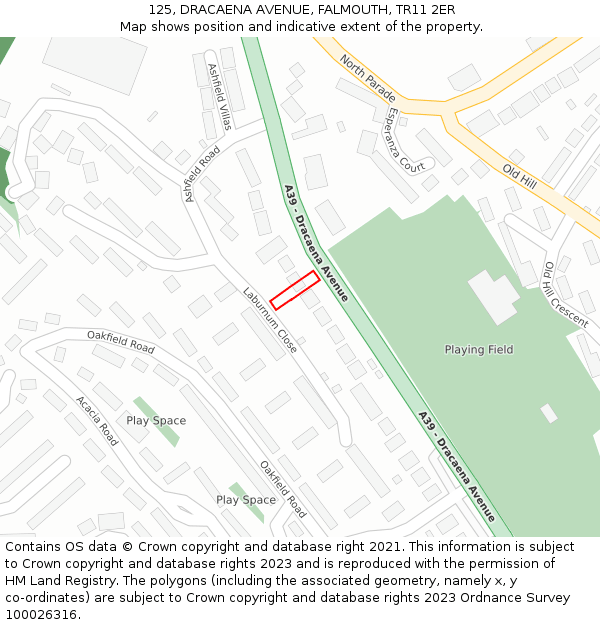 125, DRACAENA AVENUE, FALMOUTH, TR11 2ER: Location map and indicative extent of plot