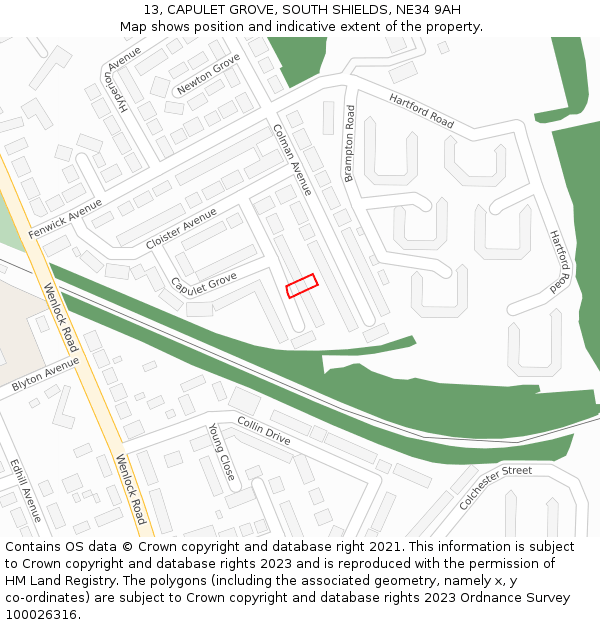 13, CAPULET GROVE, SOUTH SHIELDS, NE34 9AH: Location map and indicative extent of plot