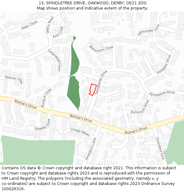 13, SPINDLETREE DRIVE, OAKWOOD, DERBY, DE21 2DG: Location map and indicative extent of plot