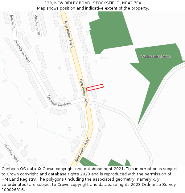 139, NEW RIDLEY ROAD, STOCKSFIELD, NE43 7EX: Location map and indicative extent of plot