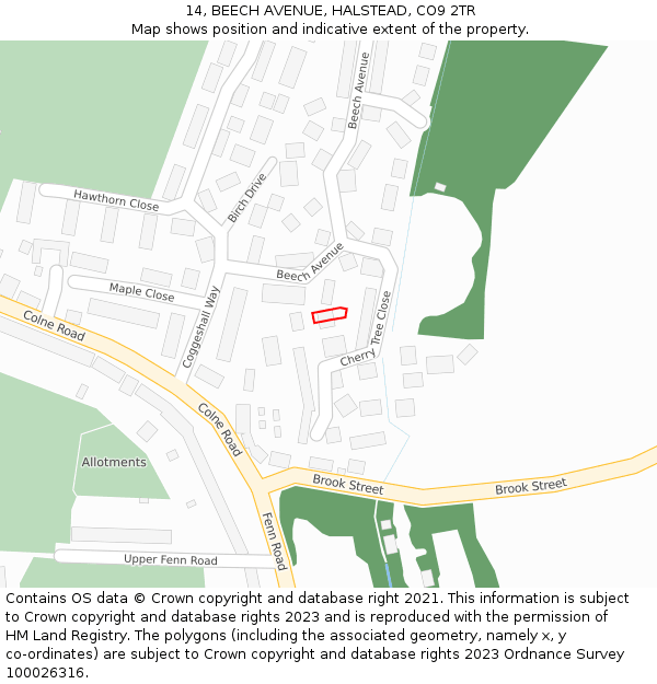 14, BEECH AVENUE, HALSTEAD, CO9 2TR: Location map and indicative extent of plot