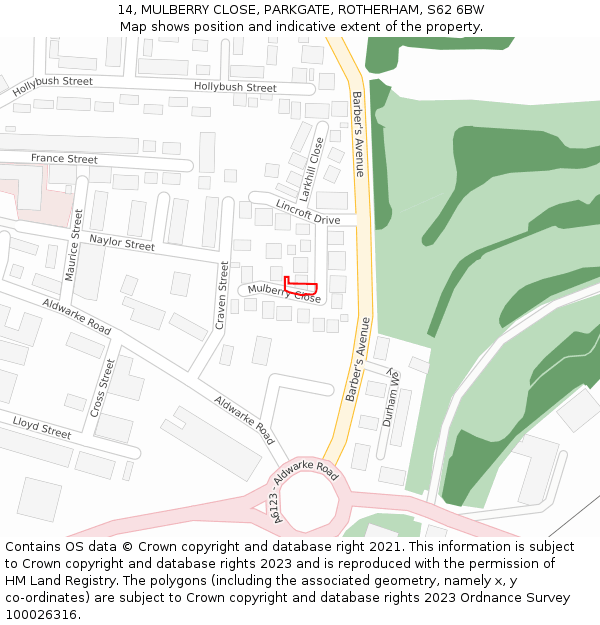 14, MULBERRY CLOSE, PARKGATE, ROTHERHAM, S62 6BW: Location map and indicative extent of plot