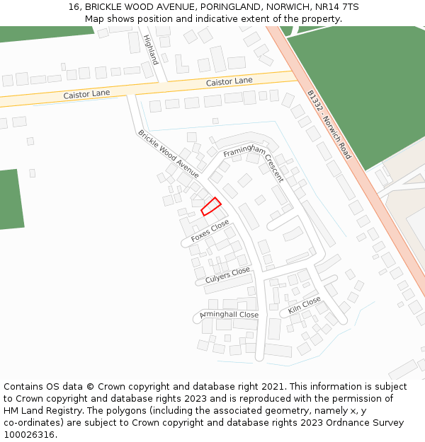 16, BRICKLE WOOD AVENUE, PORINGLAND, NORWICH, NR14 7TS: Location map and indicative extent of plot