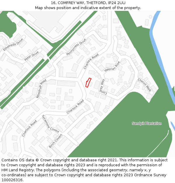 16, COMFREY WAY, THETFORD, IP24 2UU: Location map and indicative extent of plot