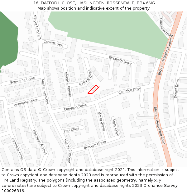 16, DAFFODIL CLOSE, HASLINGDEN, ROSSENDALE, BB4 6NG: Location map and indicative extent of plot