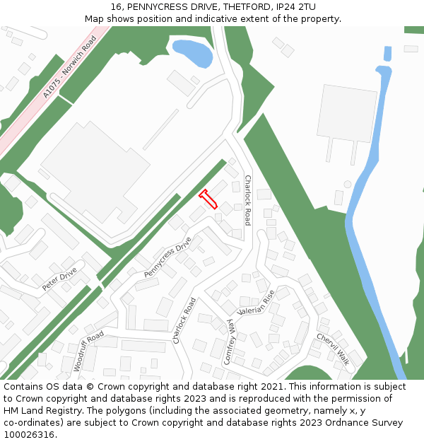 16, PENNYCRESS DRIVE, THETFORD, IP24 2TU: Location map and indicative extent of plot