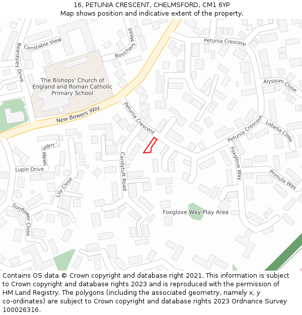 16, PETUNIA CRESCENT, CHELMSFORD, CM1 6YP: Location map and indicative extent of plot