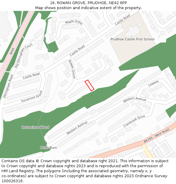 16, ROWAN GROVE, PRUDHOE, NE42 6PP: Location map and indicative extent of plot