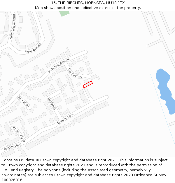 16, THE BIRCHES, HORNSEA, HU18 1TX: Location map and indicative extent of plot