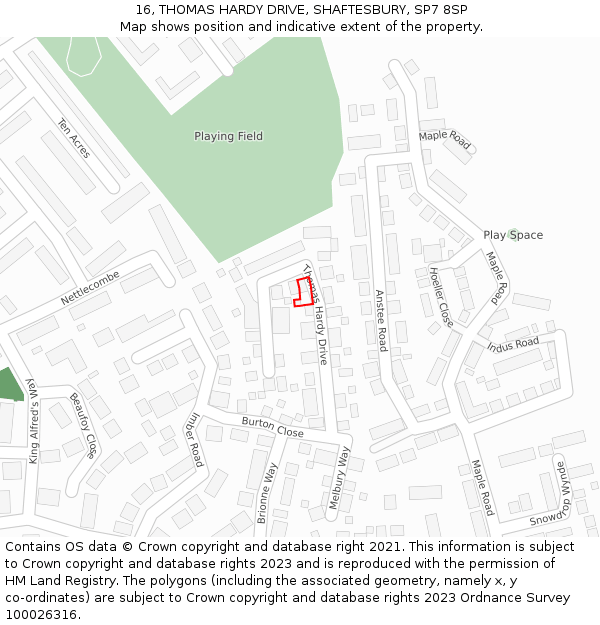 16, THOMAS HARDY DRIVE, SHAFTESBURY, SP7 8SP: Location map and indicative extent of plot