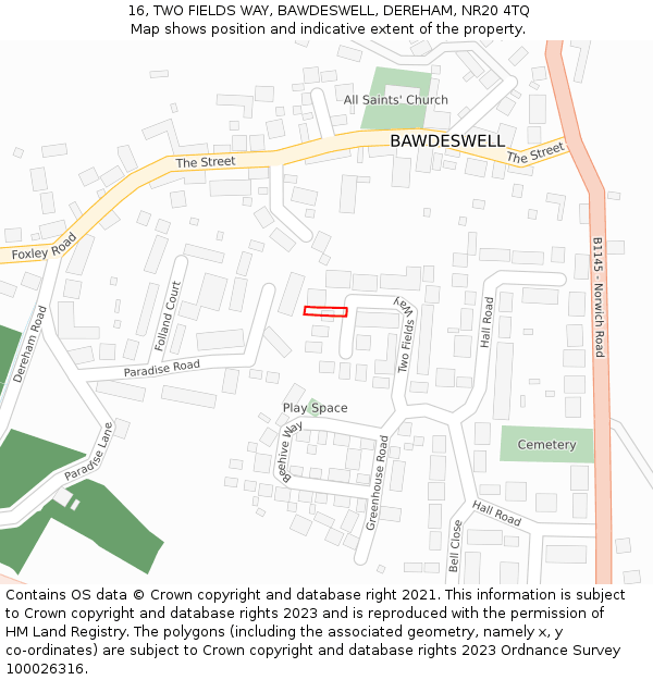 16, TWO FIELDS WAY, BAWDESWELL, DEREHAM, NR20 4TQ: Location map and indicative extent of plot