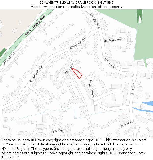 16, WHEATFIELD LEA, CRANBROOK, TN17 3ND: Location map and indicative extent of plot
