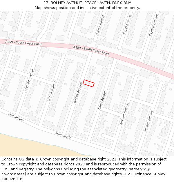 17, BOLNEY AVENUE, PEACEHAVEN, BN10 8NA: Location map and indicative extent of plot