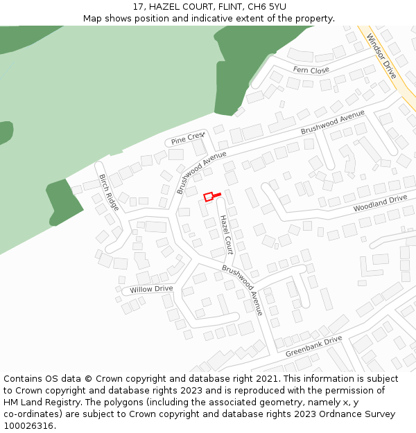 17, HAZEL COURT, FLINT, CH6 5YU: Location map and indicative extent of plot