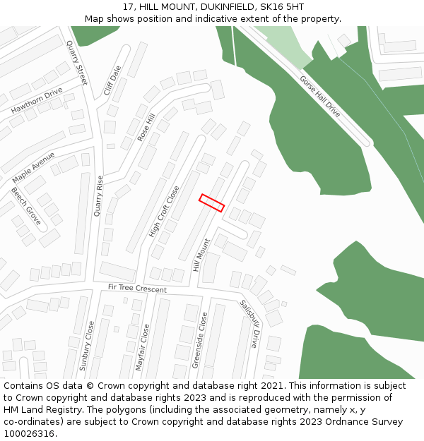 17, HILL MOUNT, DUKINFIELD, SK16 5HT: Location map and indicative extent of plot