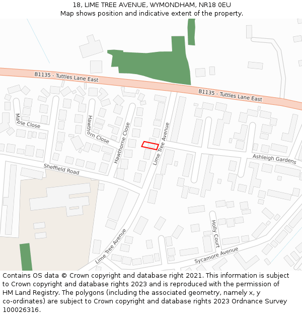 18, LIME TREE AVENUE, WYMONDHAM, NR18 0EU: Location map and indicative extent of plot