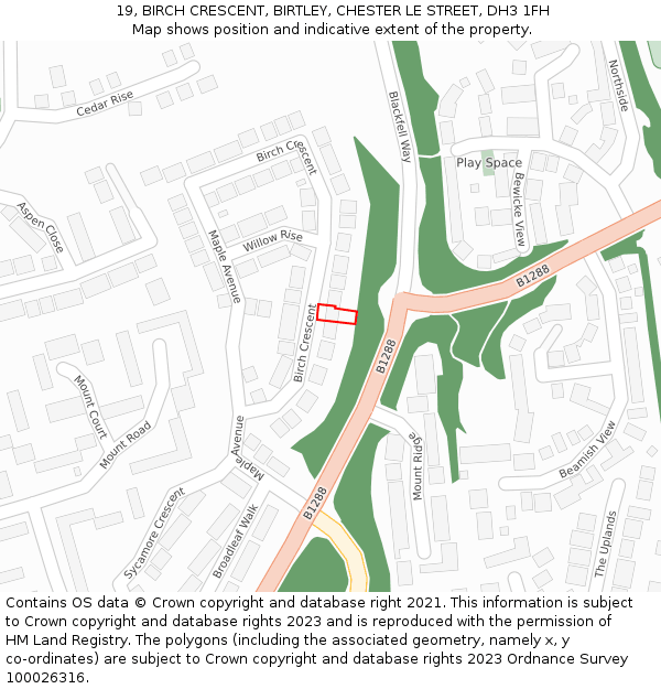 19, BIRCH CRESCENT, BIRTLEY, CHESTER LE STREET, DH3 1FH: Location map and indicative extent of plot